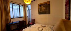 Emerald Hill Conservation Area (D9), Apartment #478161681